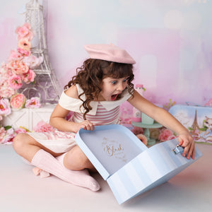 Blush the Fox's Picnic Suitcase Gift Box - Blush The Fox